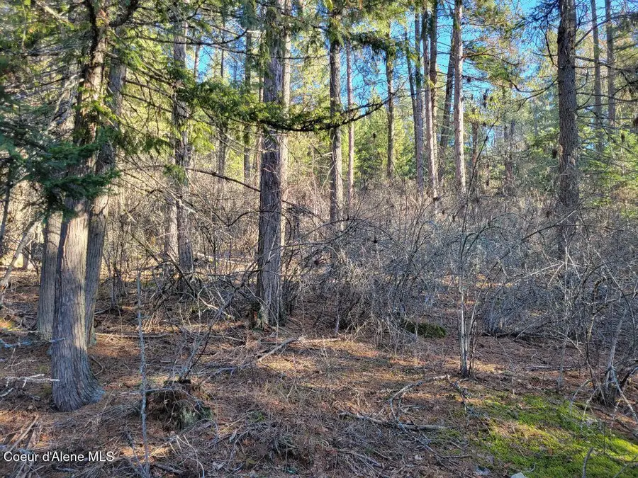 NNA ID-200, Hope, ID 83836 - #2