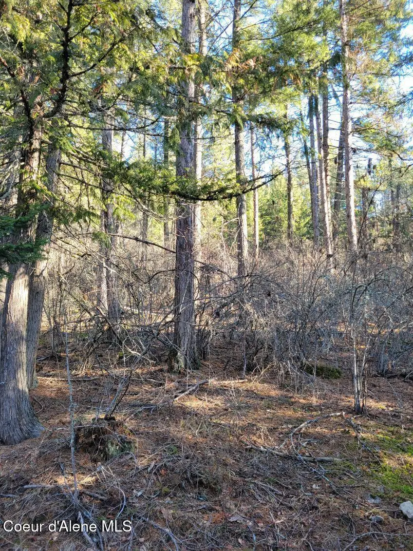 NNA ID-200, Hope, ID 83836 - #3