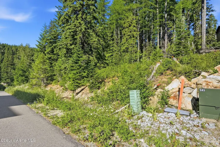 NKA Snowplow RD, Sandpoint, ID 83864 - #3