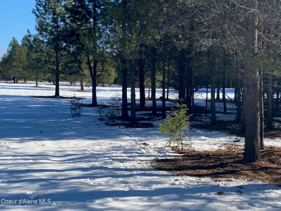 NKA Akin Back Ranch RD, Athol, ID 83801 - #3