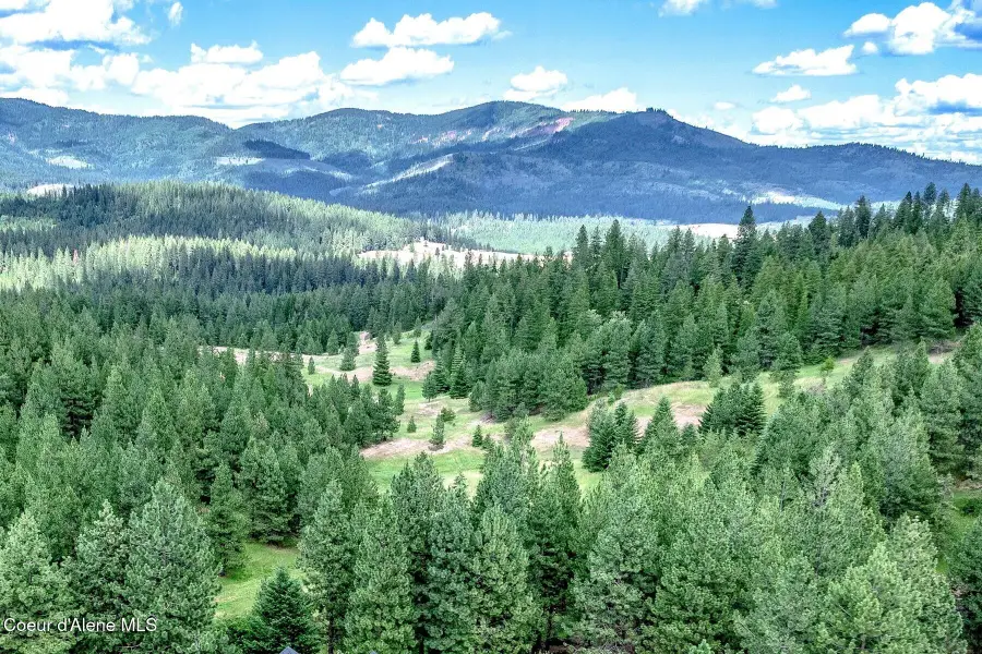 20 Acres S Starr Rd, Rockford, WA 99030 - #2