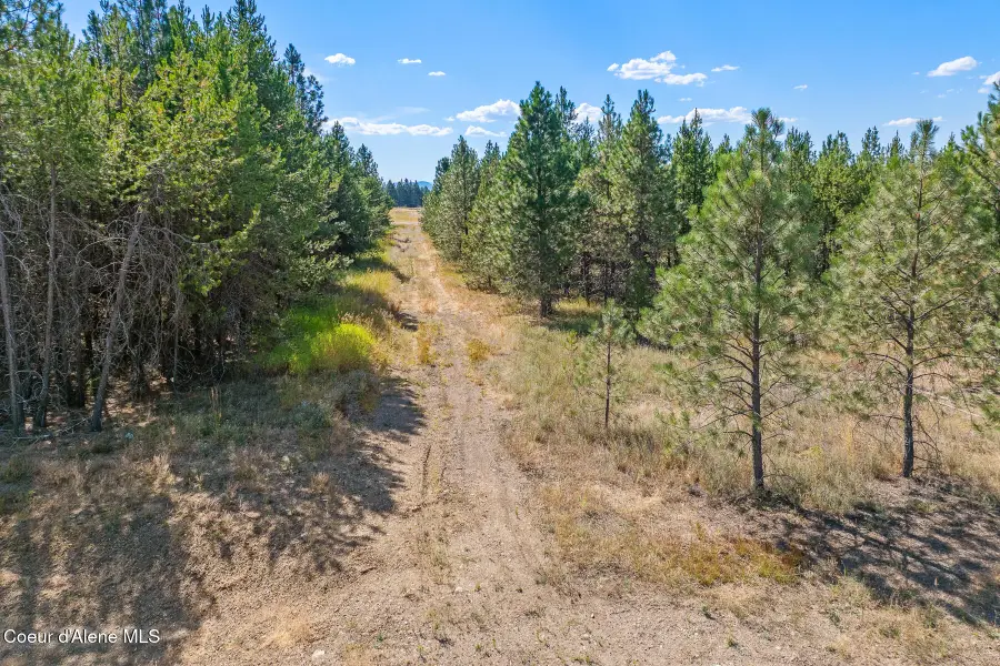 Lot 17 Asulkan St, Athol, ID 83801 - #2