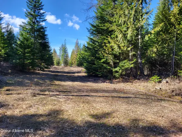 7380 E Bell Canyon Rd, Harrison, ID 83833