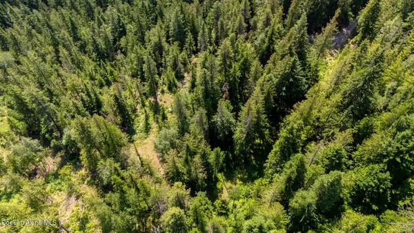 466 Rincon DR, Sandpoint, ID 83864