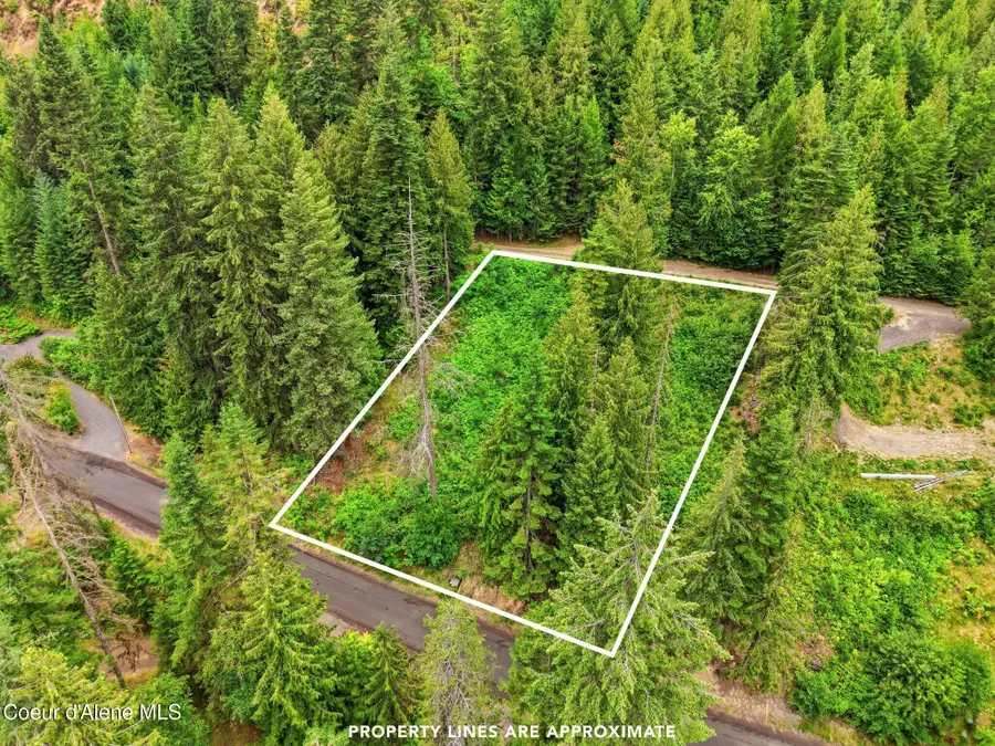 199XX S Watson Rd, Coeur Dalene, ID 83814 - #3