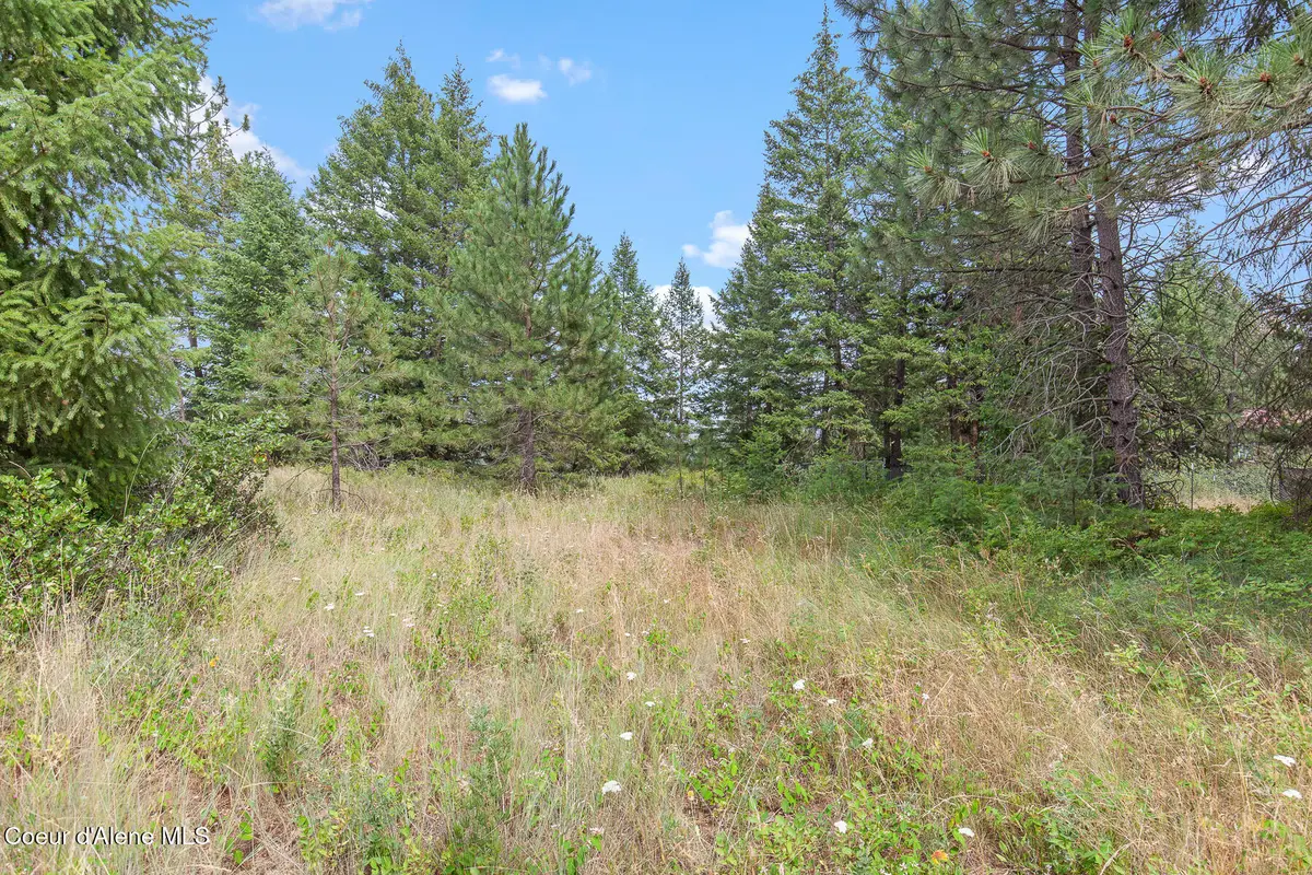 NKA E Forest View Rd, Athol, ID 83801 - #1