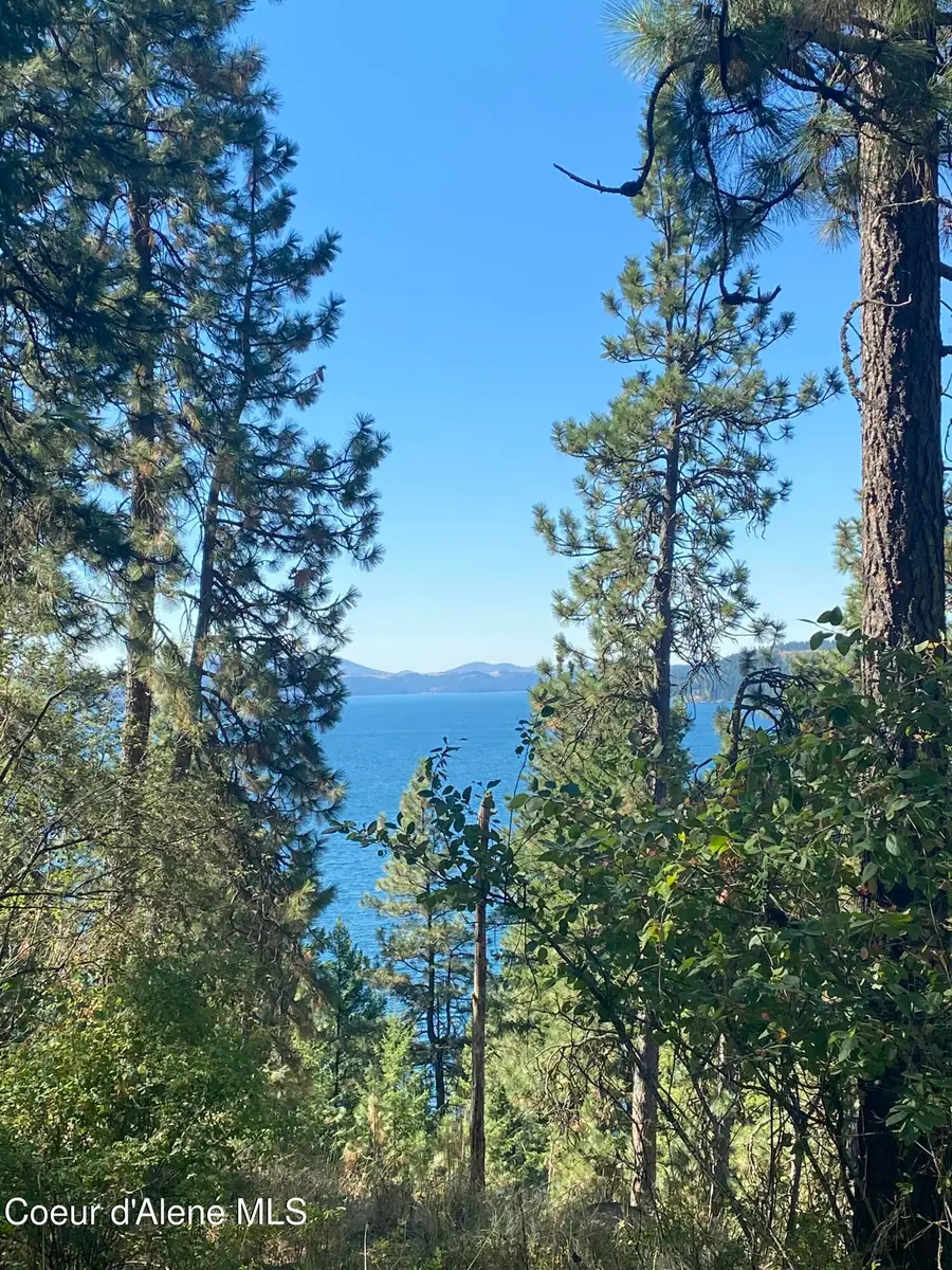 000NKA E Driftwood Heights Dr, Coeur Dalene, ID 83814 - #3