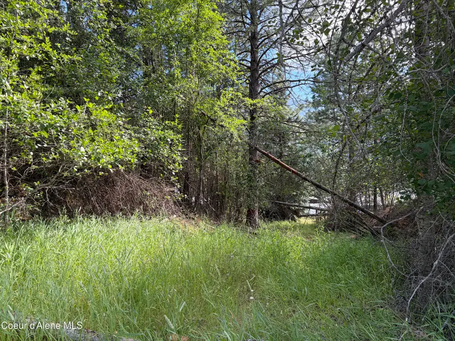 Lot 1 NKA Upper Dr, Osburn, ID 83849 - #3