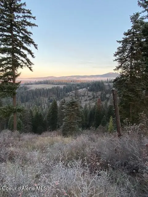 Lot 3 Flat Creek Road, Saint Maries, ID 83861 - #1