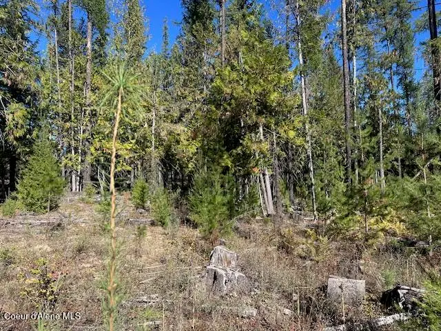 Lot 3 Flat Creek Road, Saint Maries, ID 83861 - #3