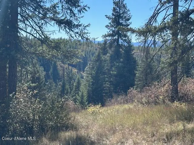 Lots 2 & 3 Flat Creek Road, Saint Maries, ID 83861 - #3