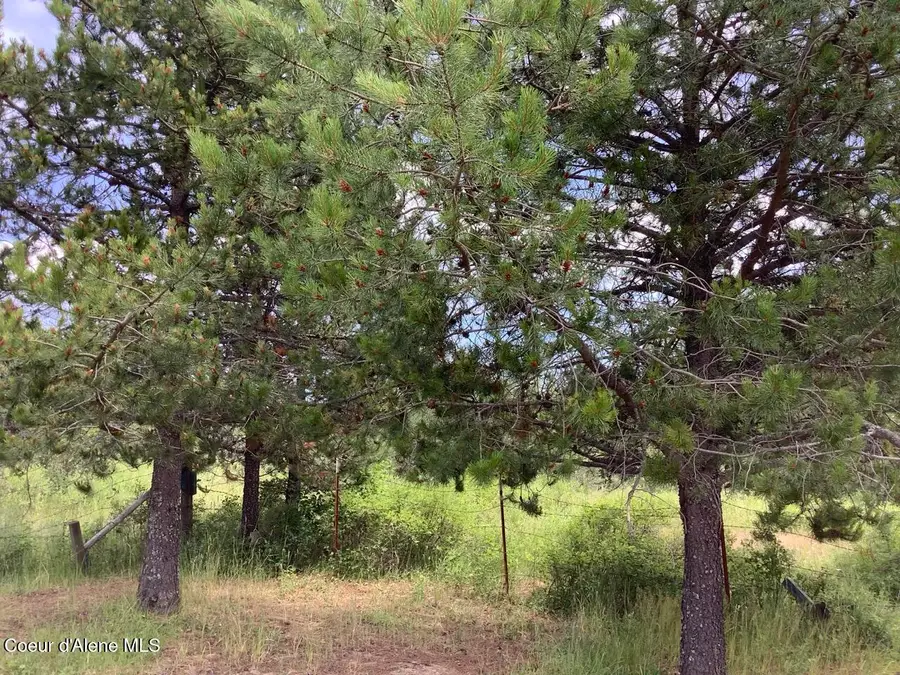 6450 Alder Creek Rd, Saint Maries, ID 83861 - #2