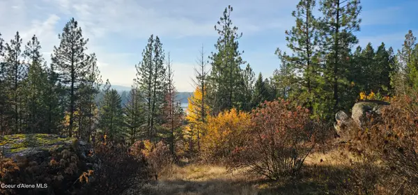 125 Tracker WAY, Priest River, ID 83856