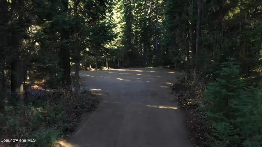 Parcel 1 East Fork Spruce Creek Rd, Unincorporated, ID 83525 - #3