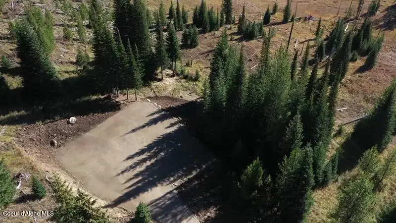 Parcel 2 East Fork Spruce Creek Rd, Unincorporated, ID 83525 - #3