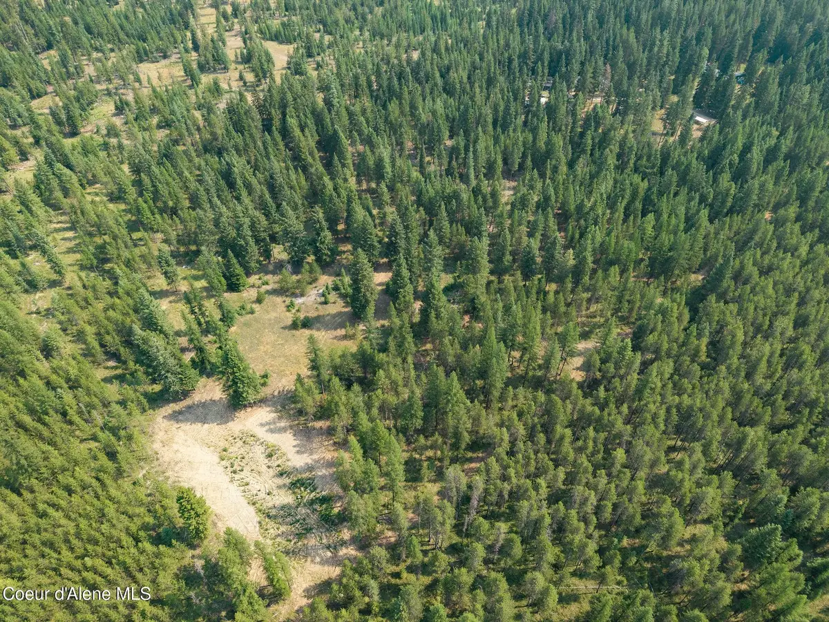 425 Compas LN, Bonners Ferry, ID 83805 - #1