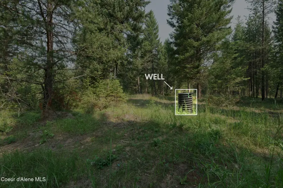 425 Compas LN, Bonners Ferry, ID 83805 - #3