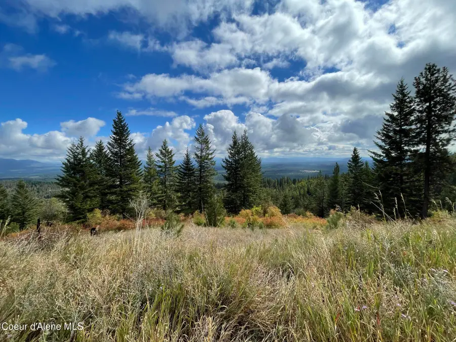 NKA Glad Lane, Spirit Lake, ID 83869 - #2