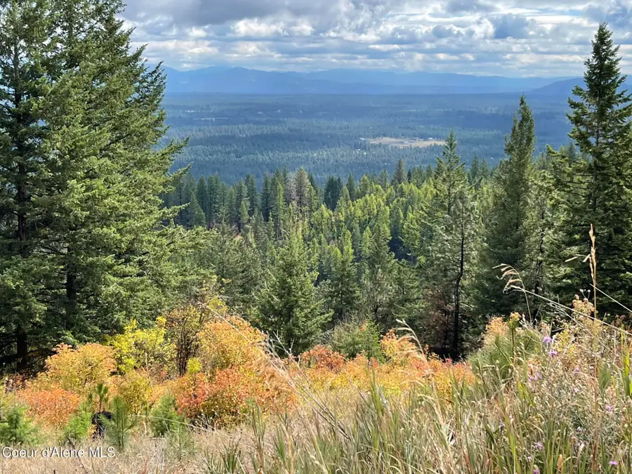 NKA Glad Lane, Spirit Lake, ID 83869 - #3