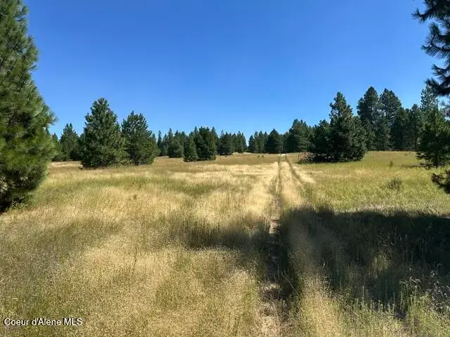 Parcel A Highway 95, Plummer, ID 83851 - #2