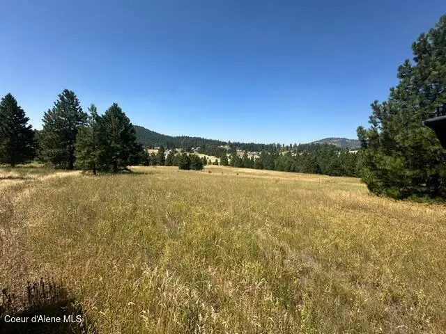 Parcel A Highway 95, Plummer, ID 83851 - #3