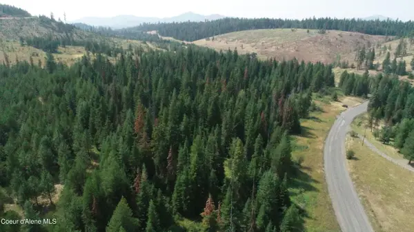 NNA Tyson Creek Rd, Santa, ID 83866
