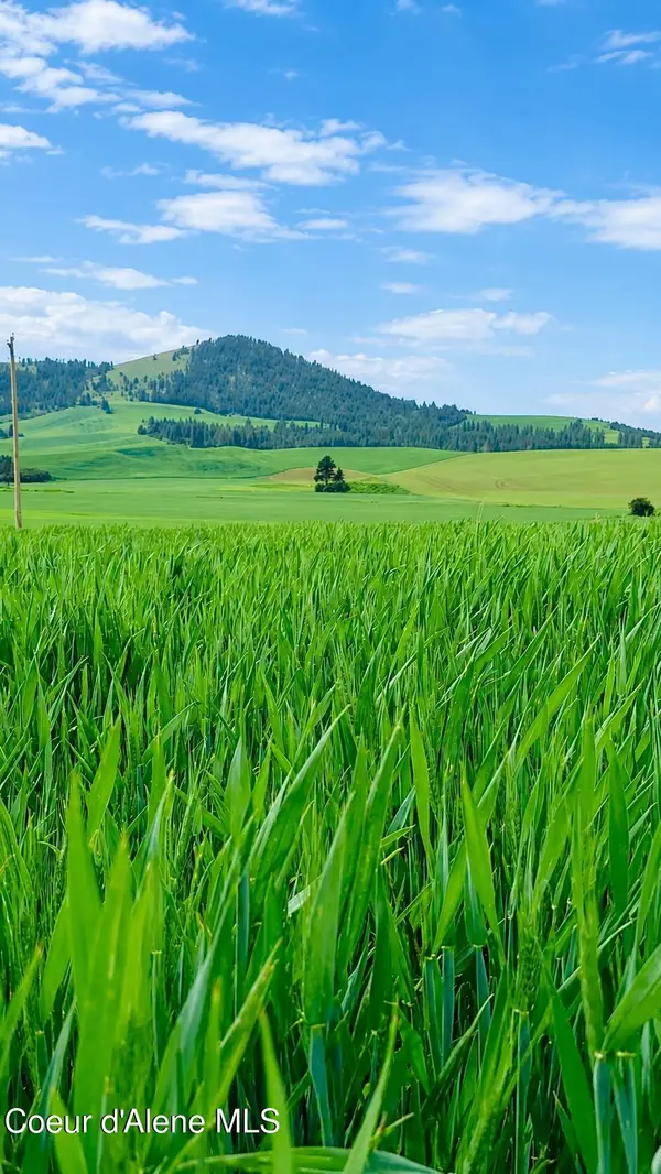 10 Acres 783 Old Mills Rd, Desmet, ID 83824