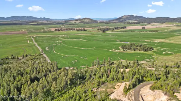 Lot 1 Lone Moose Dr, Plummer, ID 83851