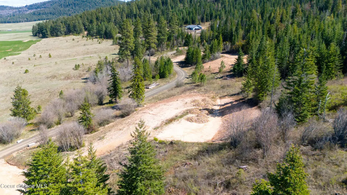 Lot 3 Lone Moose Dr, Plummer, ID 83851 - #1