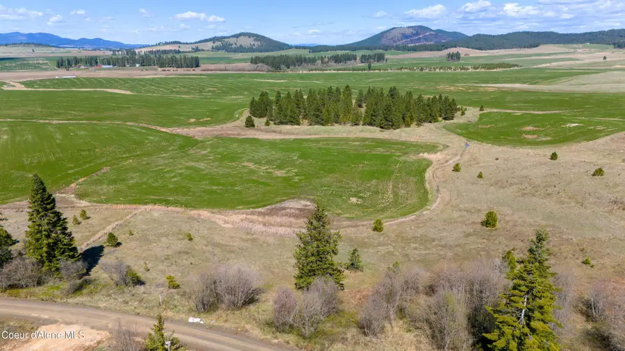 Lot 3 Lone Moose Dr, Plummer, ID 83851 - #2