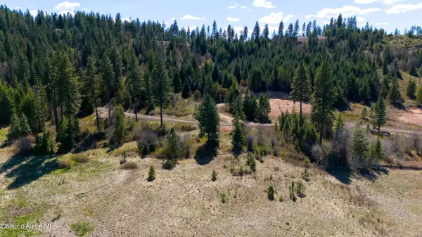 Lot 5 Lone Moose Dr, Plummer, ID 83851
