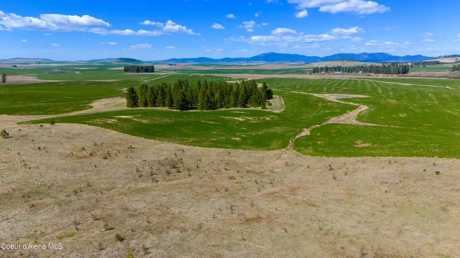 Lot 5 Lone Moose Dr, Plummer, ID 83851 - #2