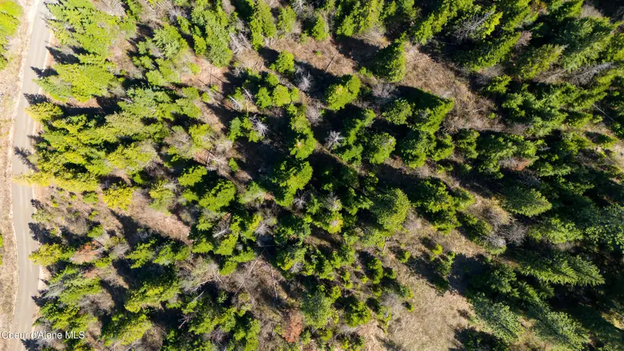 Lot 9 Lone Moose Dr, Plummer, ID 83851 - #2