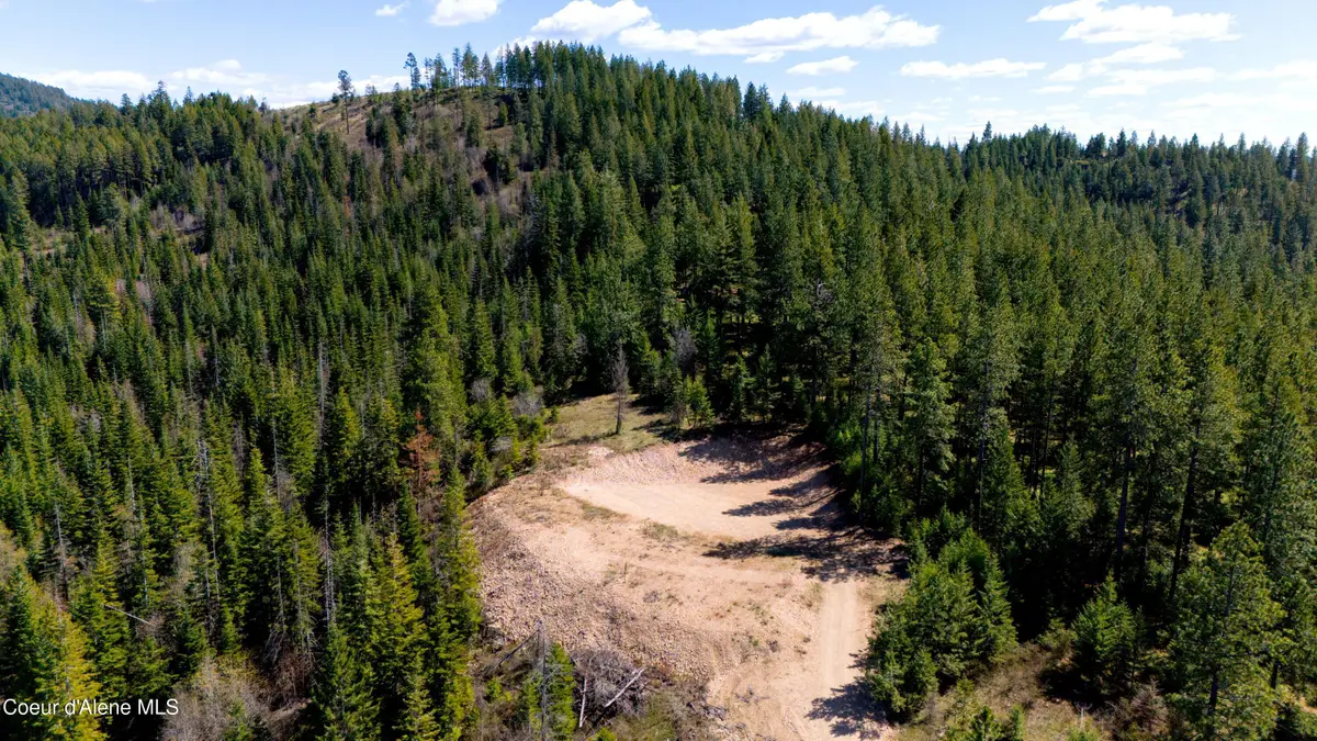 Lot 10 Lone Moose Dr, Plummer, ID 83851 - #1