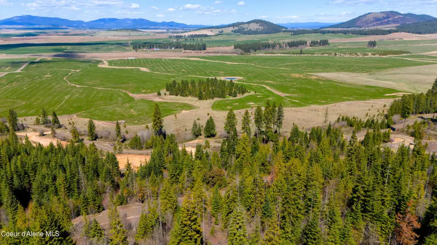 Lot 10 Lone Moose Dr, Plummer, ID 83851 - #3