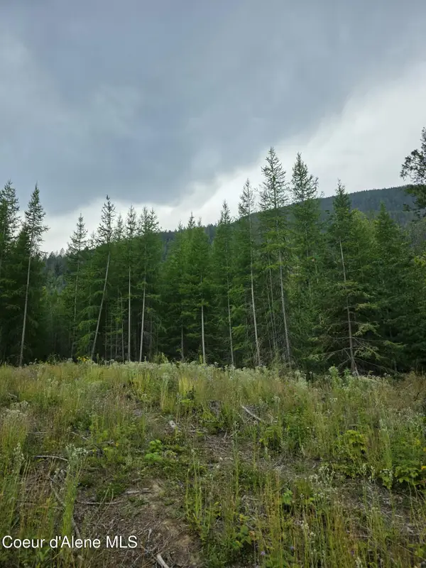 NNA WESTSIDE RD PARCEL10, Bonners Ferry, ID 83805