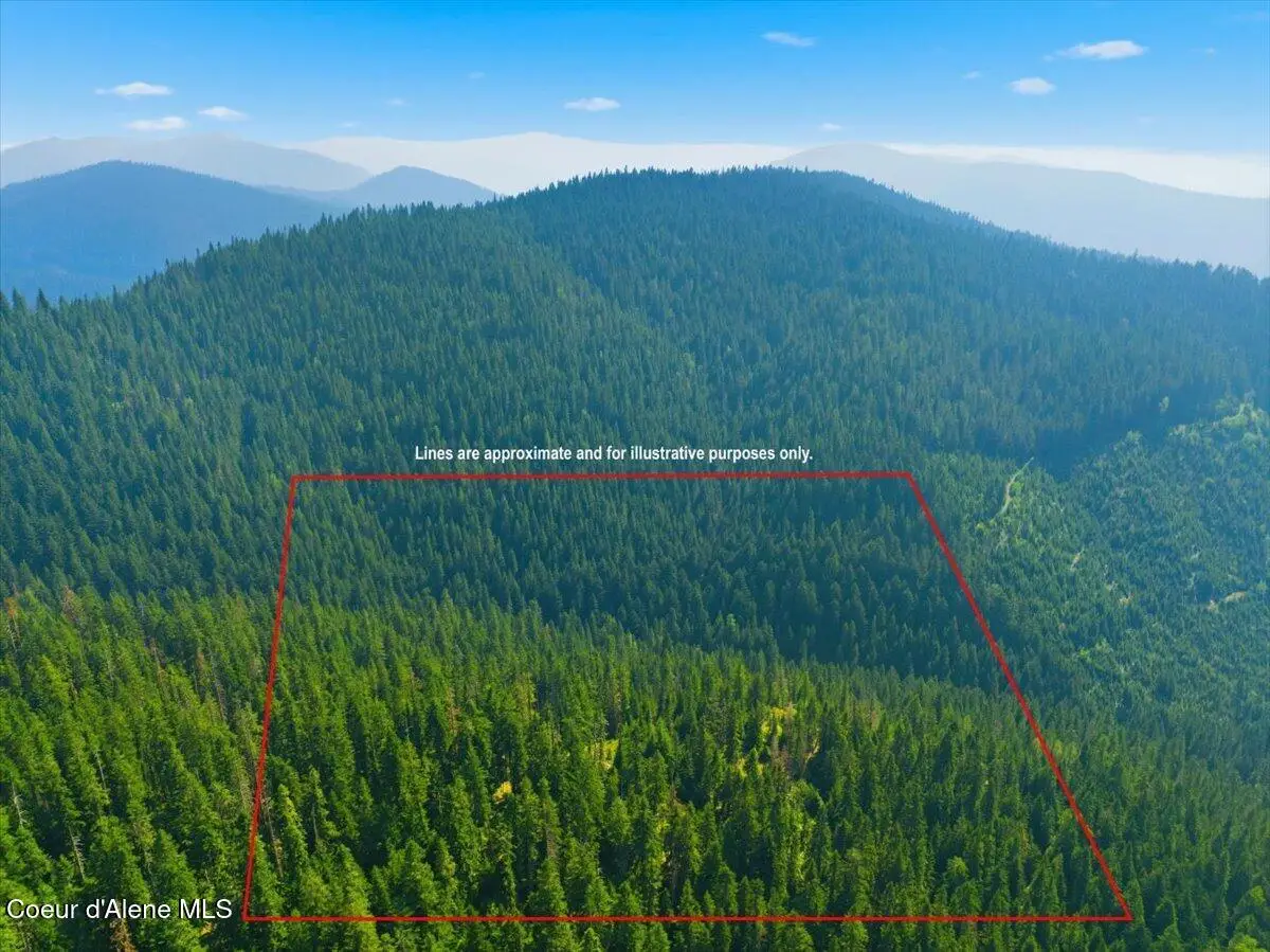 NKA 40 AC USFS 610 Rd, Hayden, ID 83835 - #1