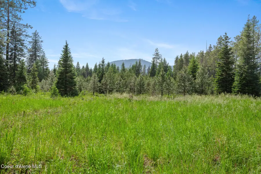NKA W Camrose Ln, Rathdrum, ID 83858 - #2