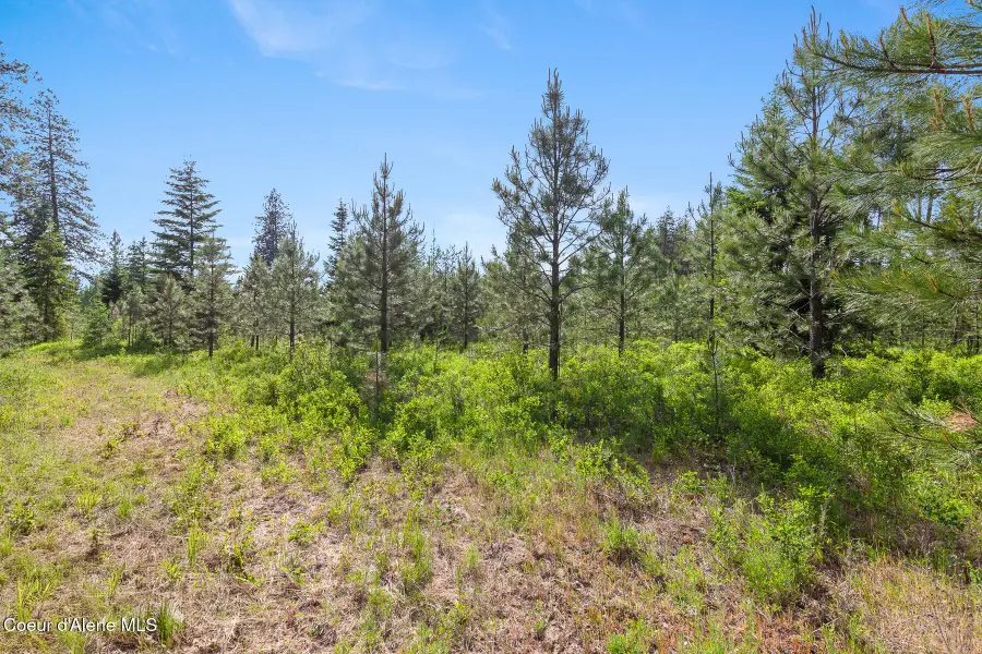 NKA W Camrose Ln, Rathdrum, ID 83858 - #3