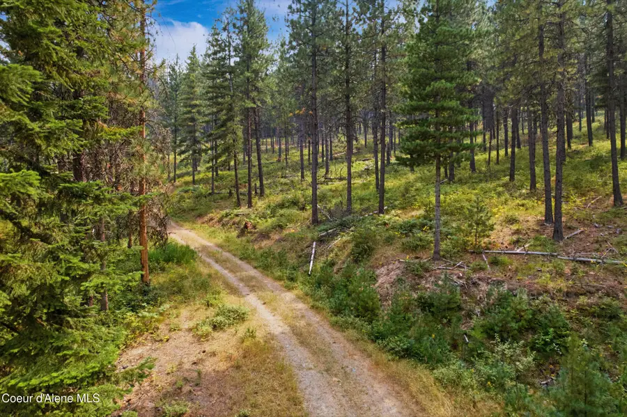 NKA Kelly Gulch Rd, Pinehurst, ID 83850 - #3