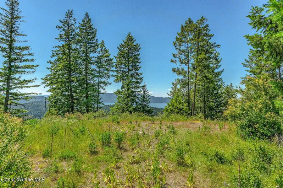 NNA T1-A Green Monarch, Sandpoint, ID 83864 - #2