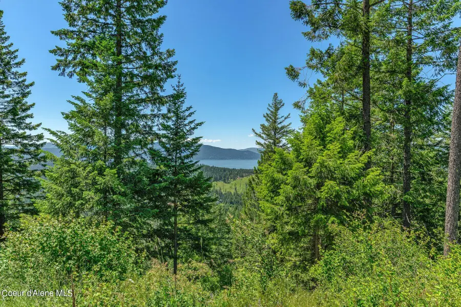 NNA T1-A Green Monarch, Sandpoint, ID 83864 - #3