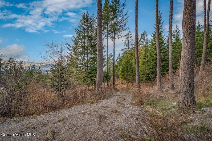 NNA E25 Wildridge Way, Sandpoint, ID 83864 - #3