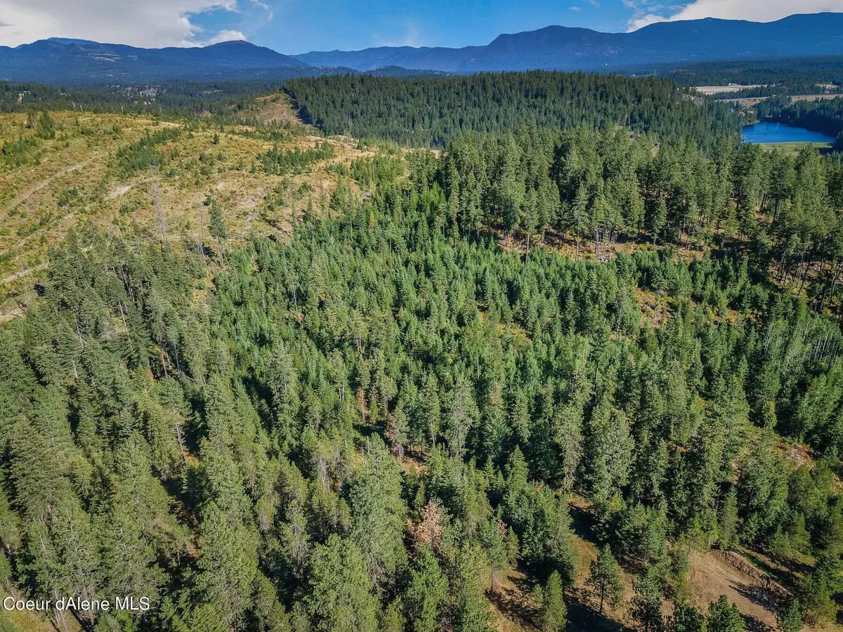 L1 Smokewood Dr, Athol, ID 83801 - #1