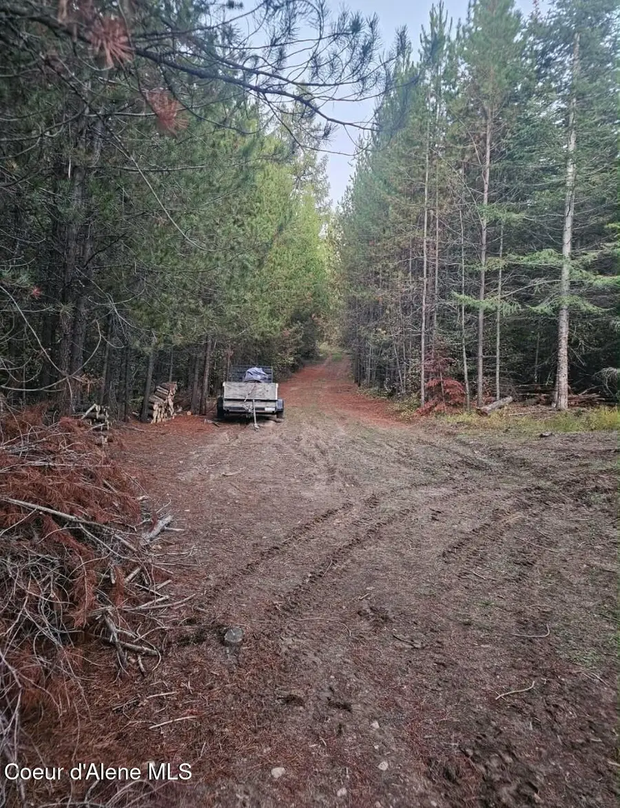 821 Willow Loop RD, Fernwood, ID 83830 - #3