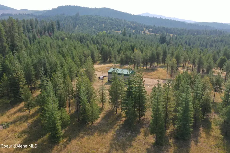 408 Saddle Horn LN, Fernwood, ID 83830 - #3