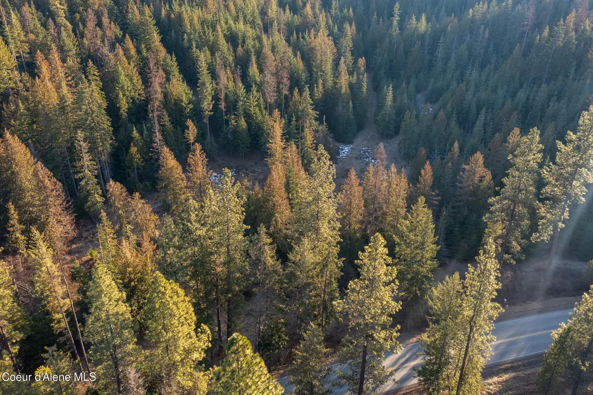 NNA Sophie Hills Lot 1, Harrison, ID 83833 - #1