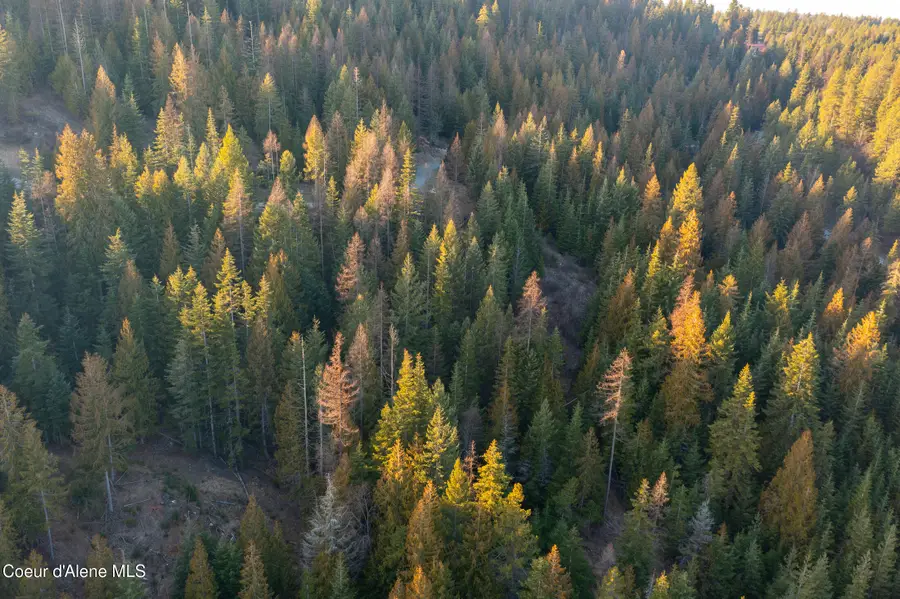 NNA Sophie Hills Lot 2, Harrison, ID 83833 - #3