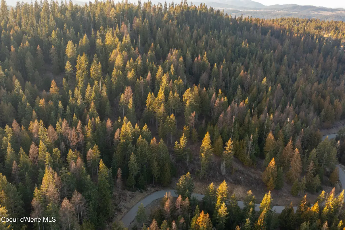 NNA Sophie Hills Lot 3, Harrison, ID 83833 - #1