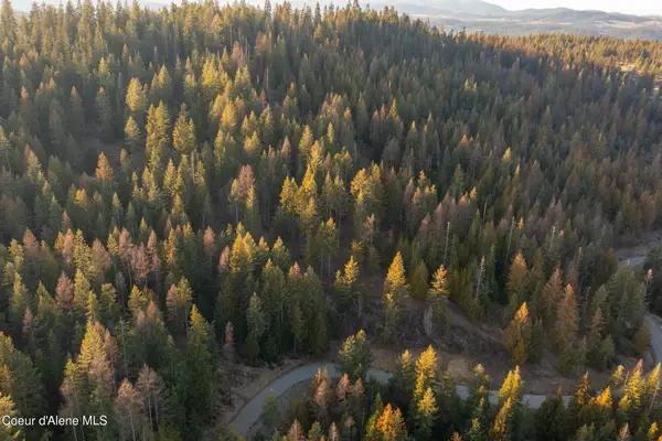 NNA Sophie Hills Lot 3, Harrison, ID 83833